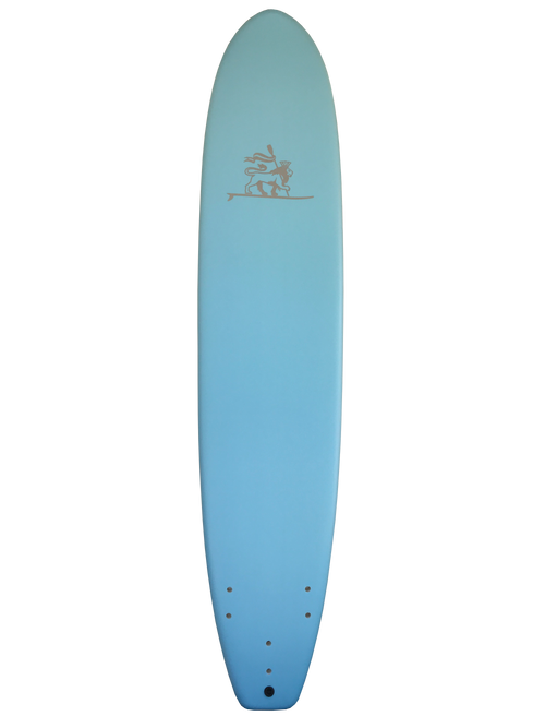9' Soft Top Surfboard